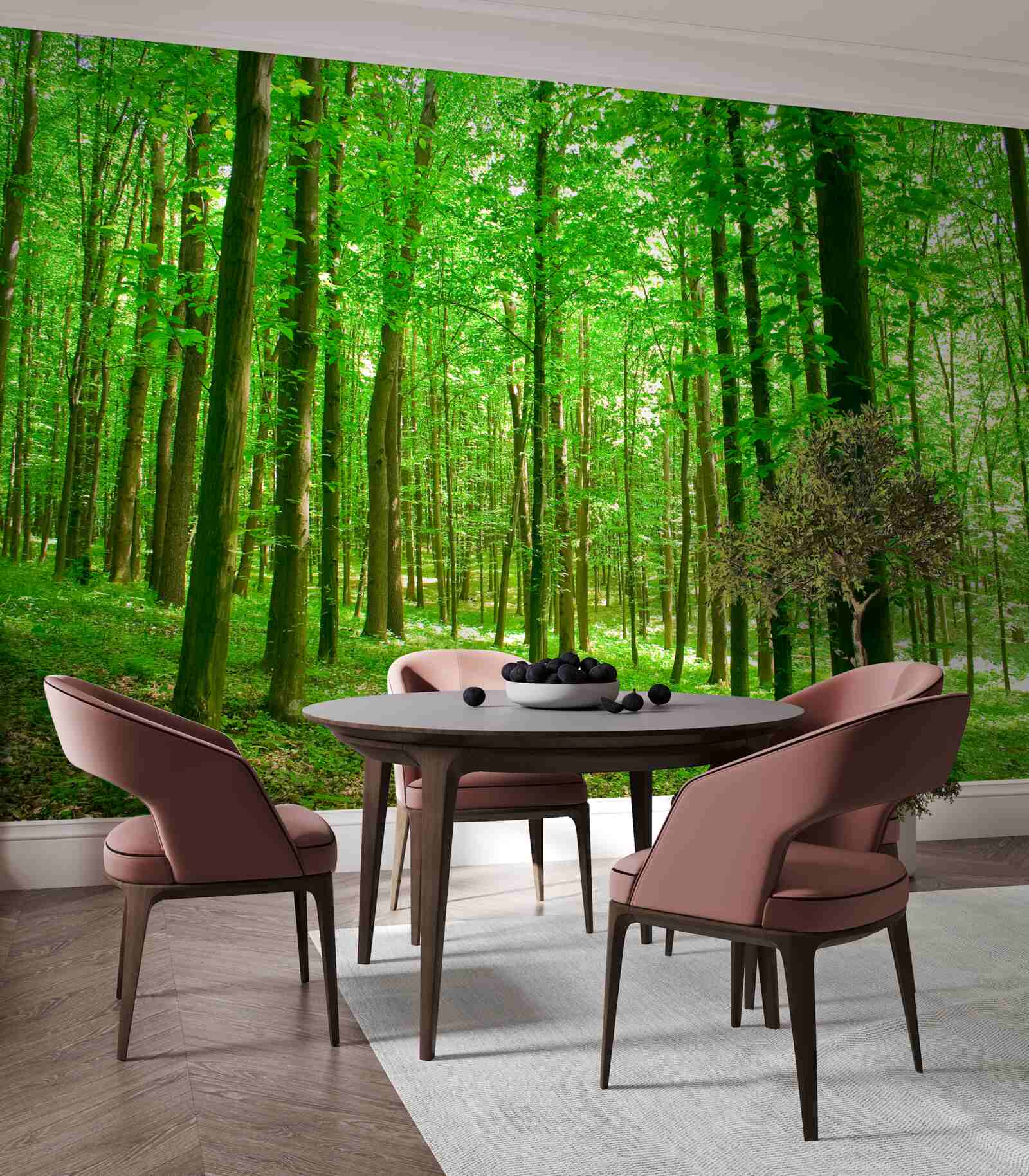 Fototapet pădure subțire de vară cu copaci foioși