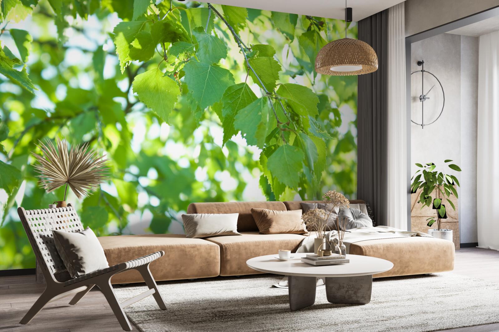 Fototapet frunze de mesteacăn pe un cer albastru