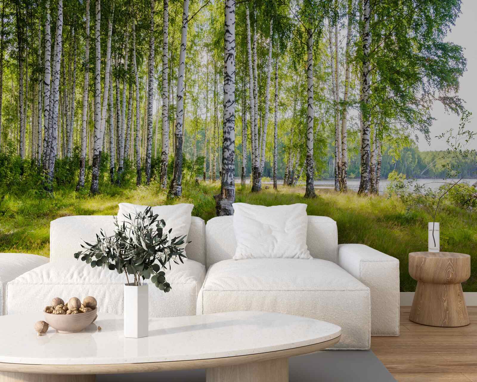 Fototapet Zori în tufișul verde de mesteacăn