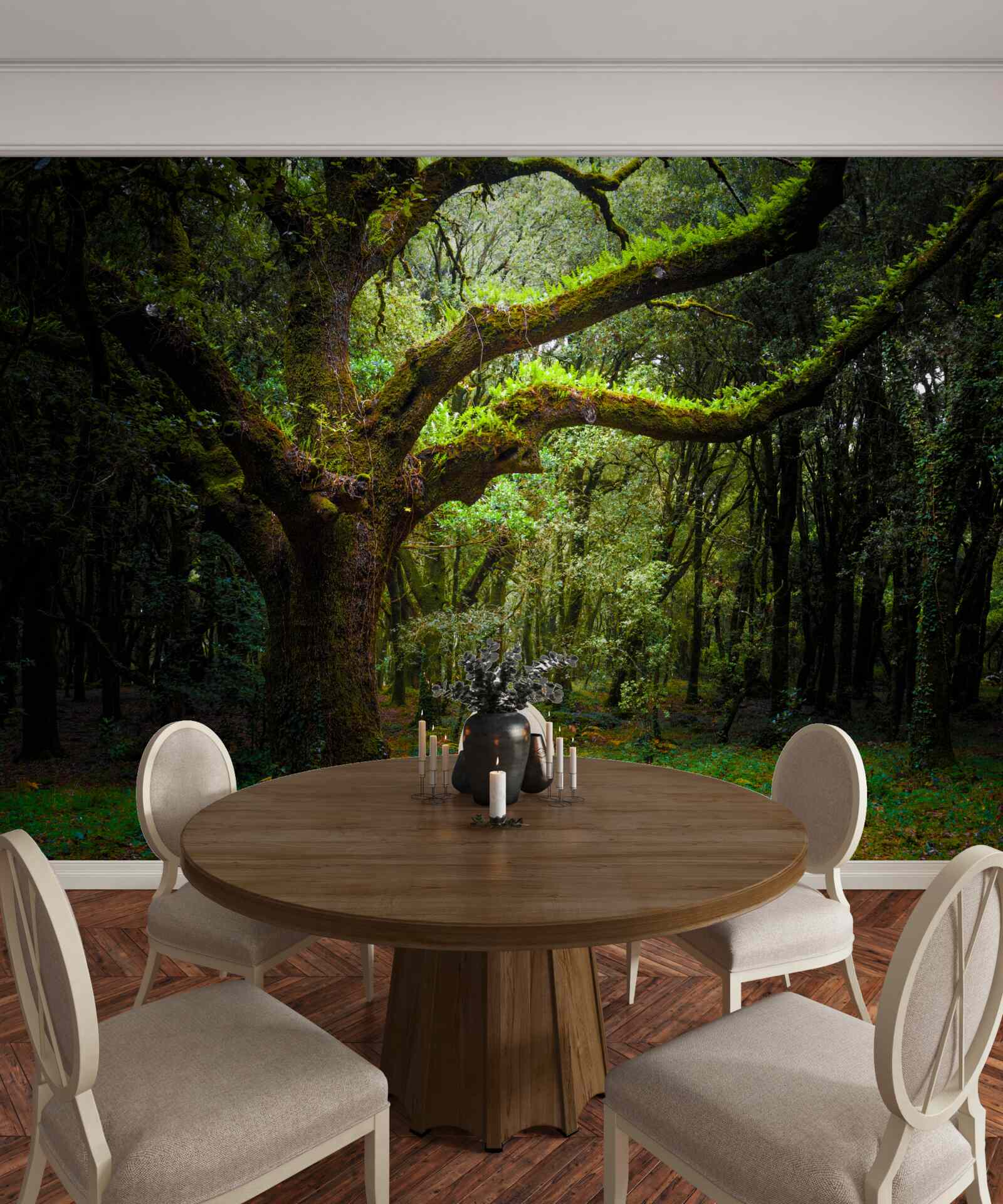 Fototapet pădure străveche cu arbori deasă