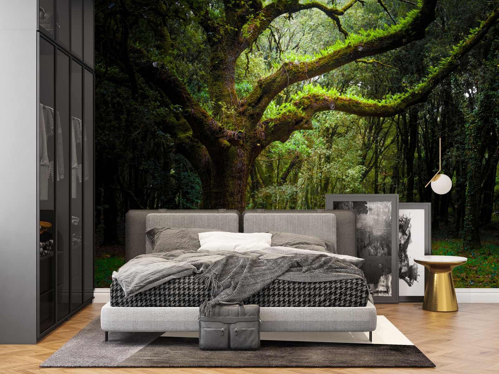 Fototapet pădure străveche cu arbori deasă