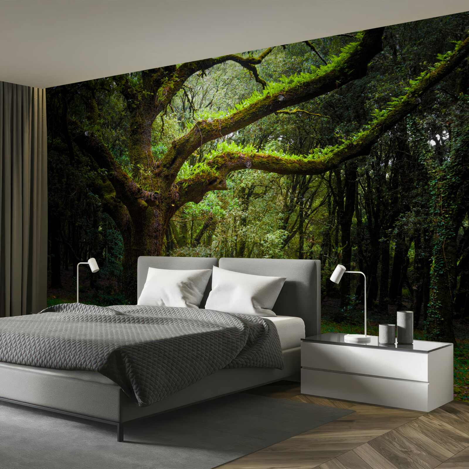 Fototapet pădure străveche cu arbori deasă