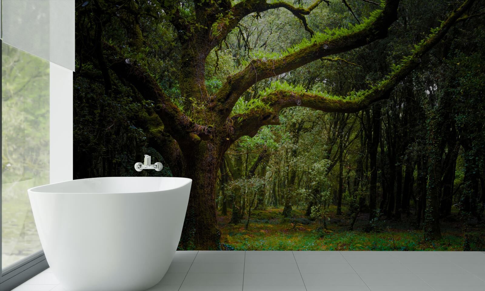 Fototapet pădure străveche cu arbori deasă