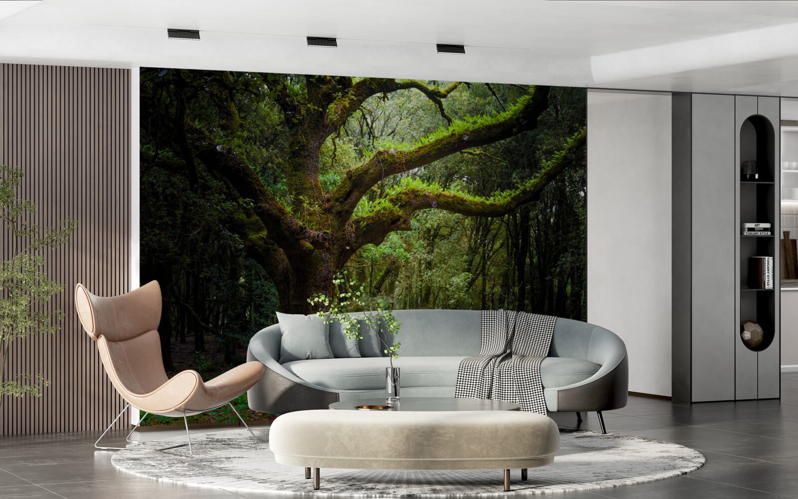 Fototapet pădure străveche cu arbori deasă