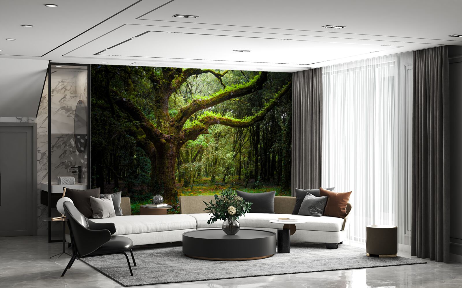 Fototapet pădure străveche cu arbori deasă