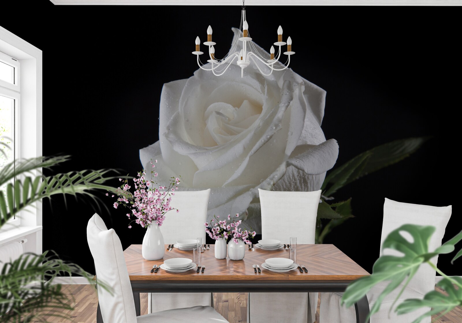 Fototapet fundalul negru evidențiază albul trandafirului