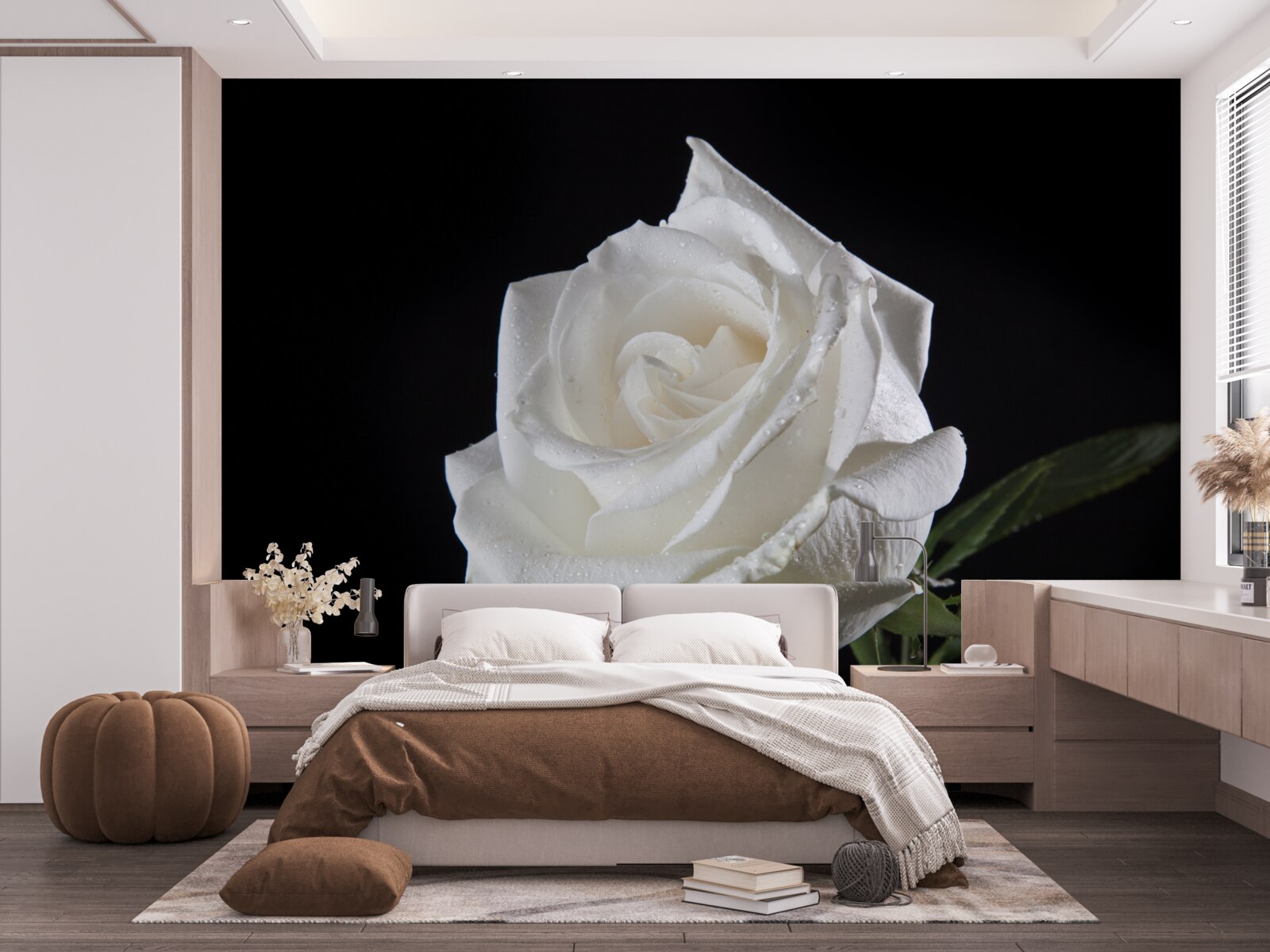 Fototapet fundalul negru evidențiază albul trandafirului