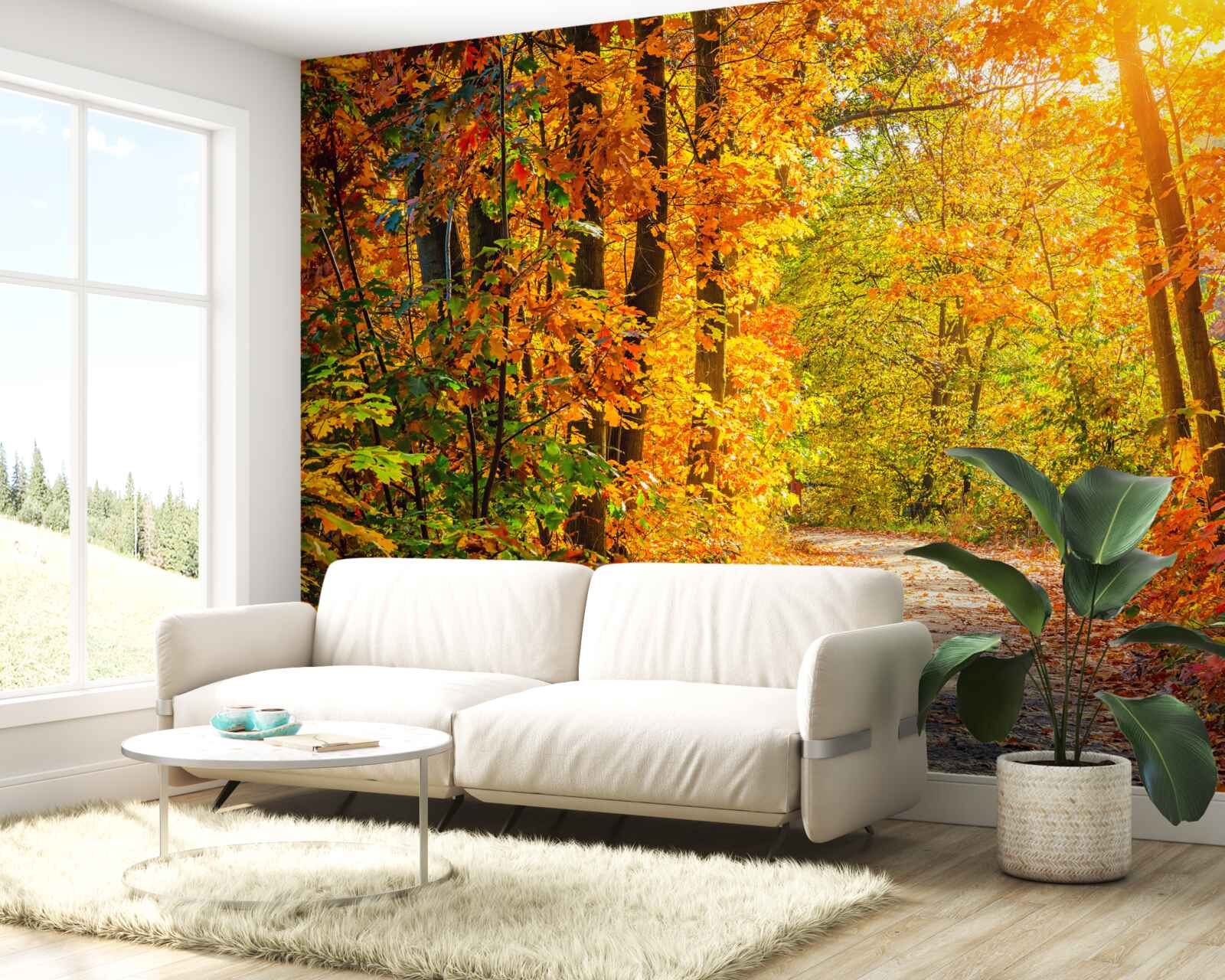 Fototapet apus de soare cu soare de toamnă