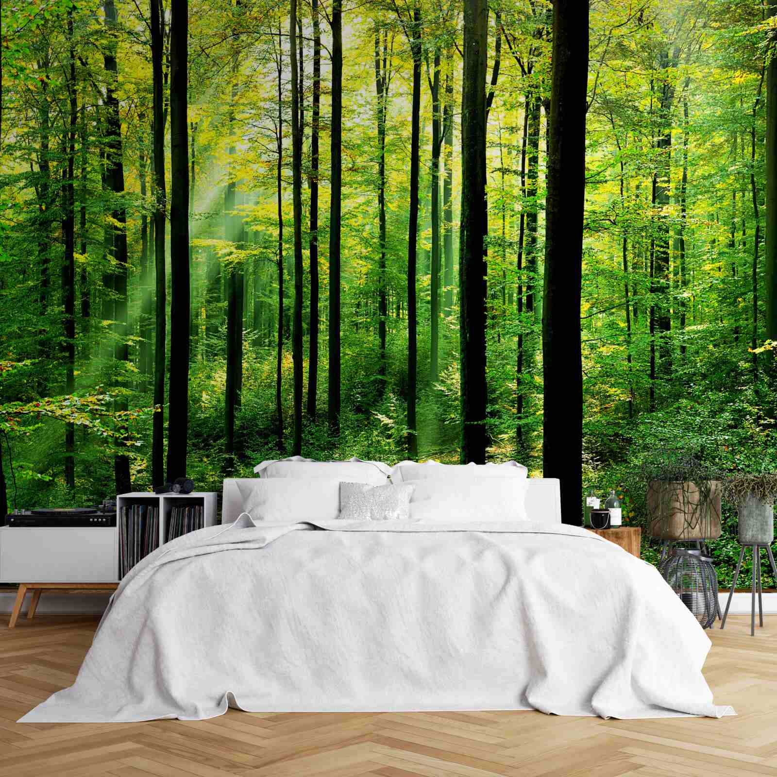 Fototapet terasă cu acces la o livadă de pini