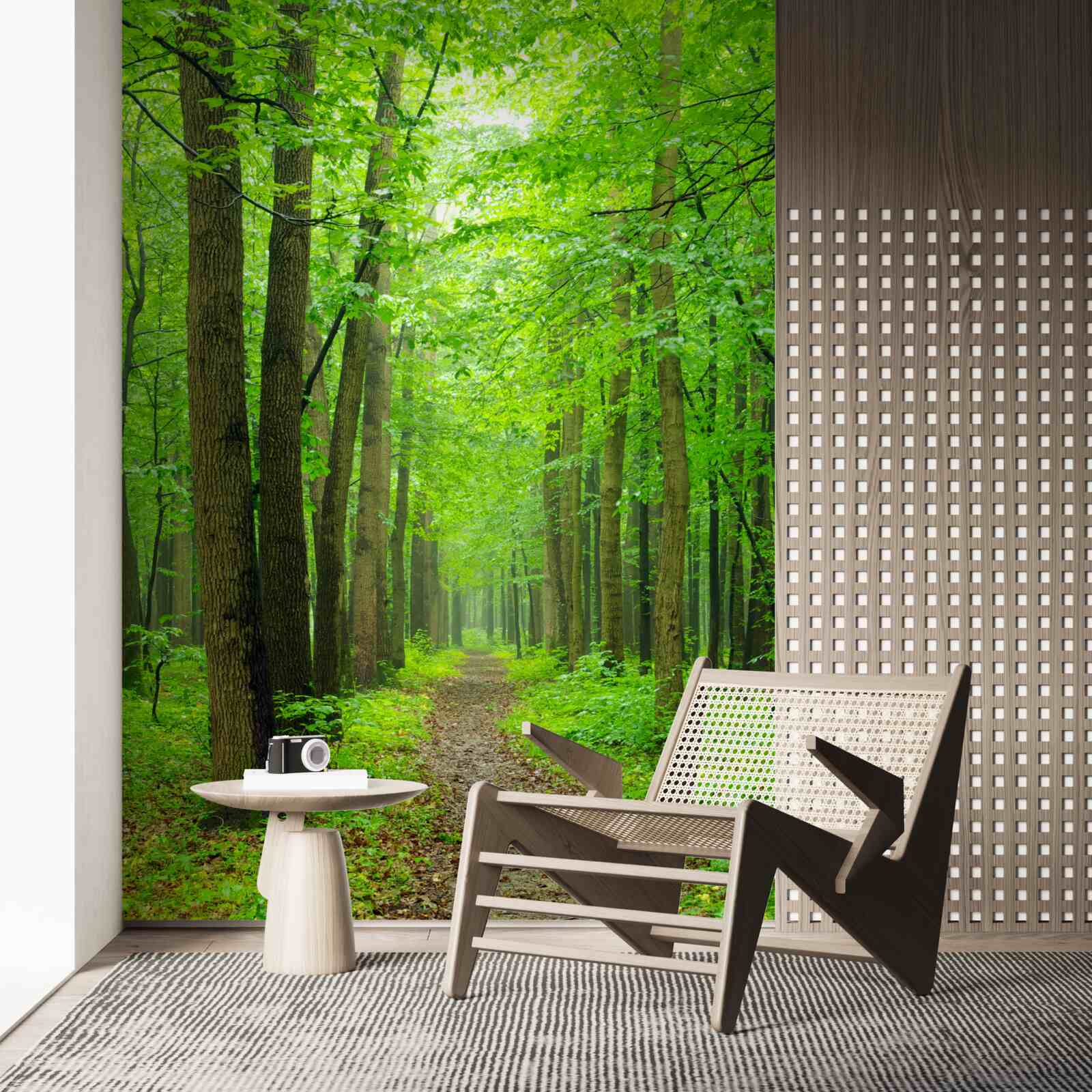 Fototapet o cale confortabilă printr-o pădure grațioasă de foioase