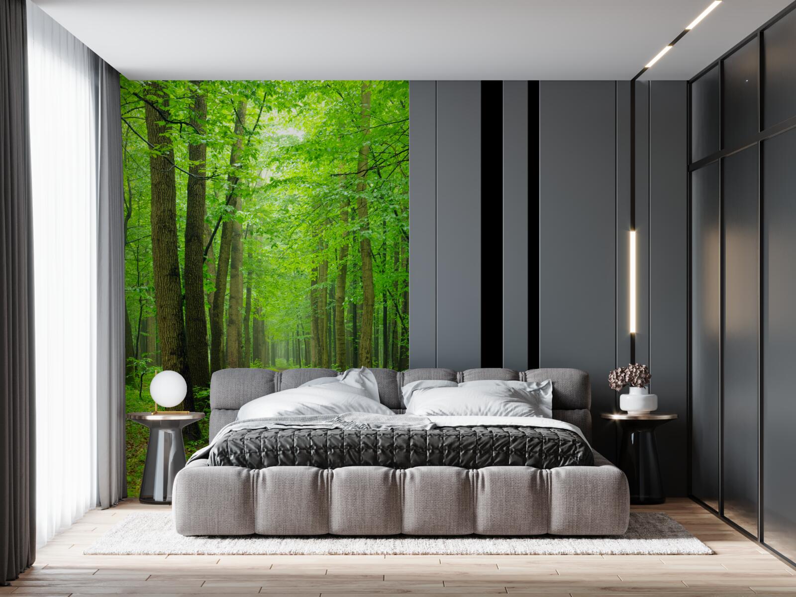 Fototapet o cale confortabilă printr-o pădure grațioasă de foioase