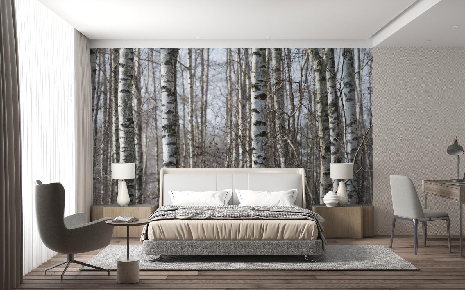 Fototapet mesteceni grațioși căzuți