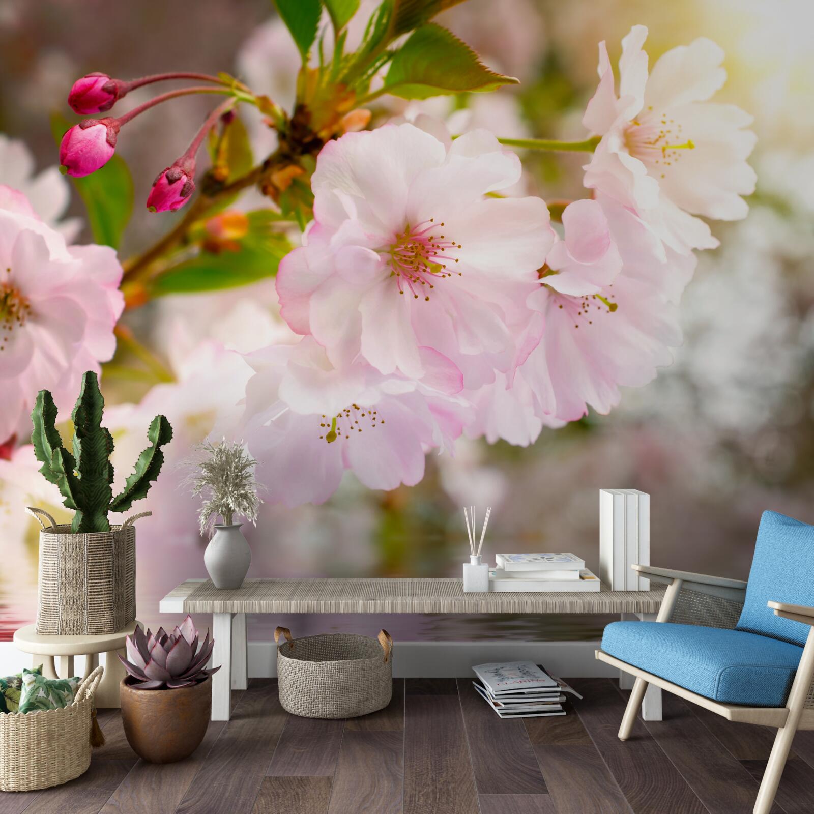 Fototapet ramuri de cireș cu flori roz atârnă deasupra apei