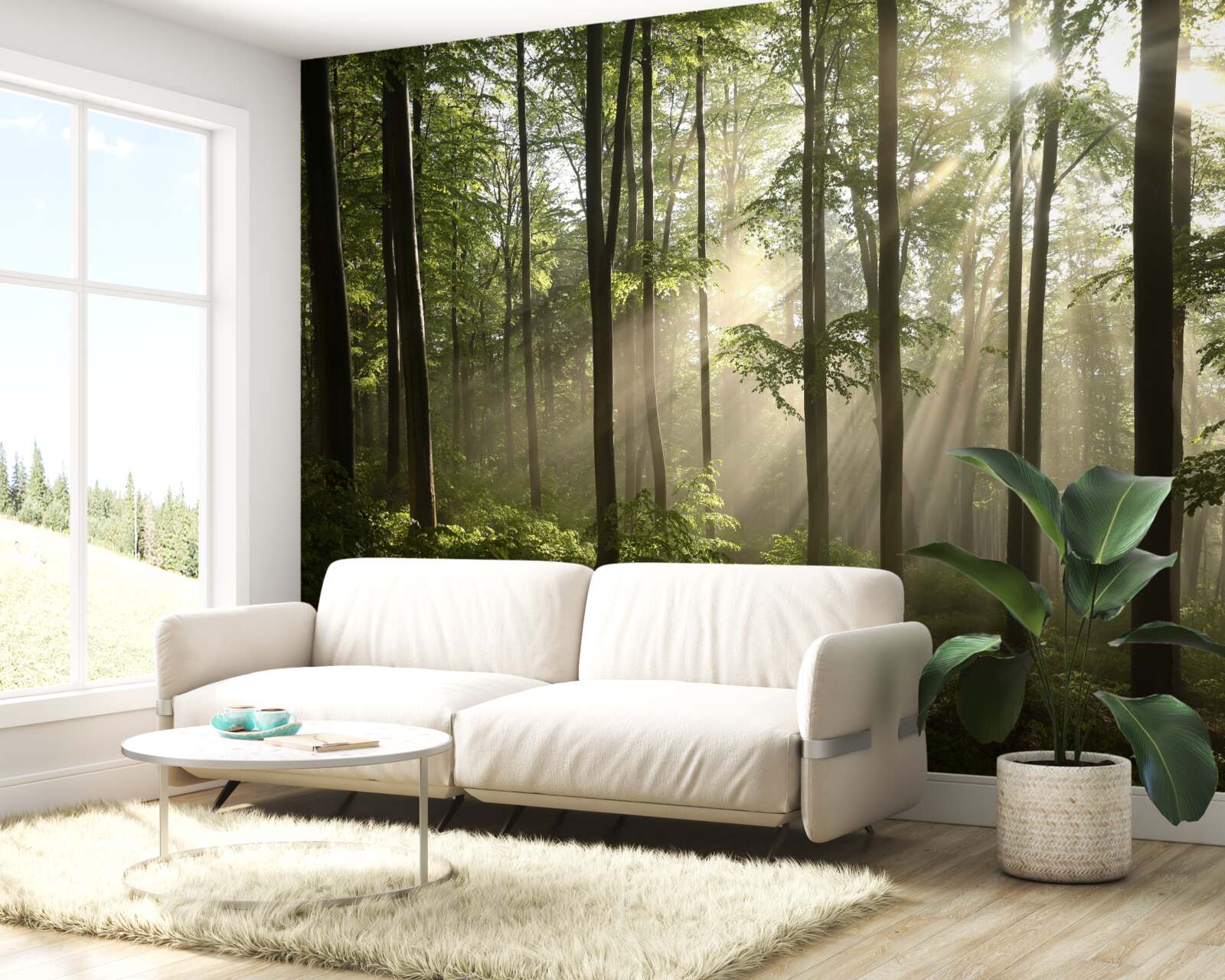 Fototapet razele soarelui pătrund în ceața din pădure