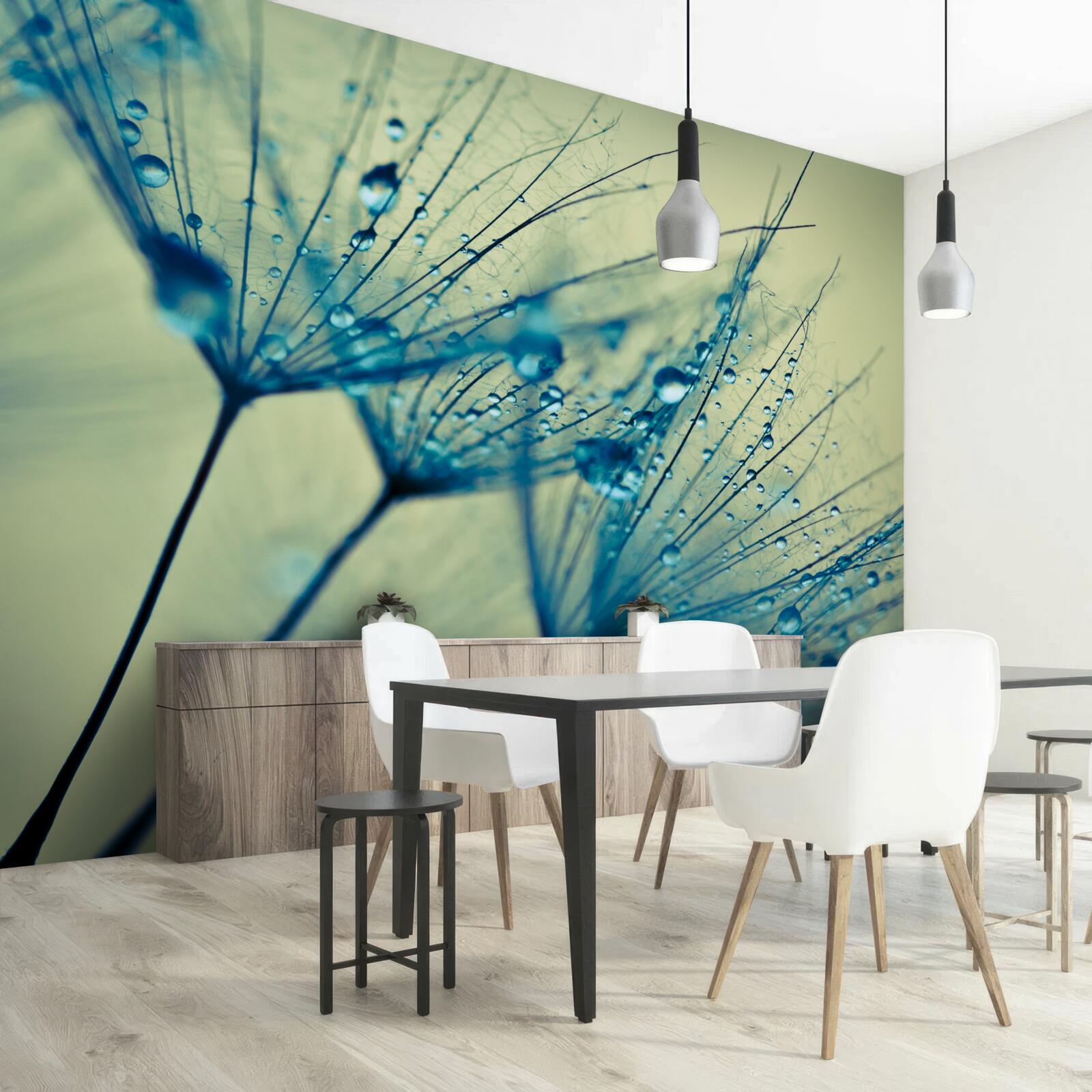 Fototapet păpădie decorată cu picături de apă