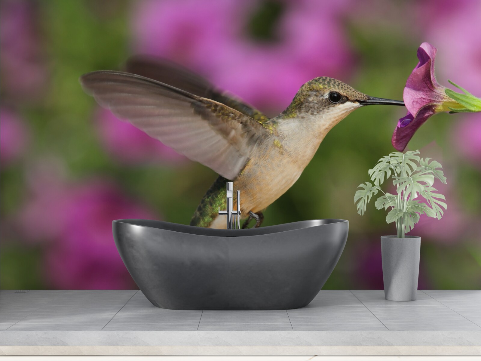 Fototapet nectarul potolește setea colibriilor