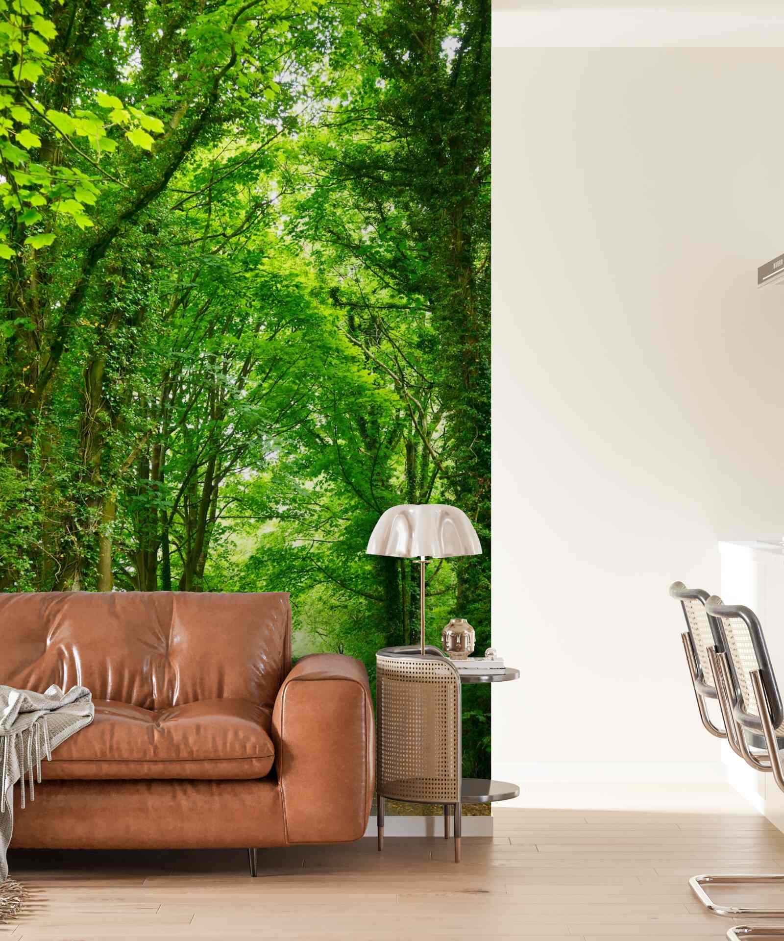 Fototapet arcuri de copaci verzi se ridică deasupra căii