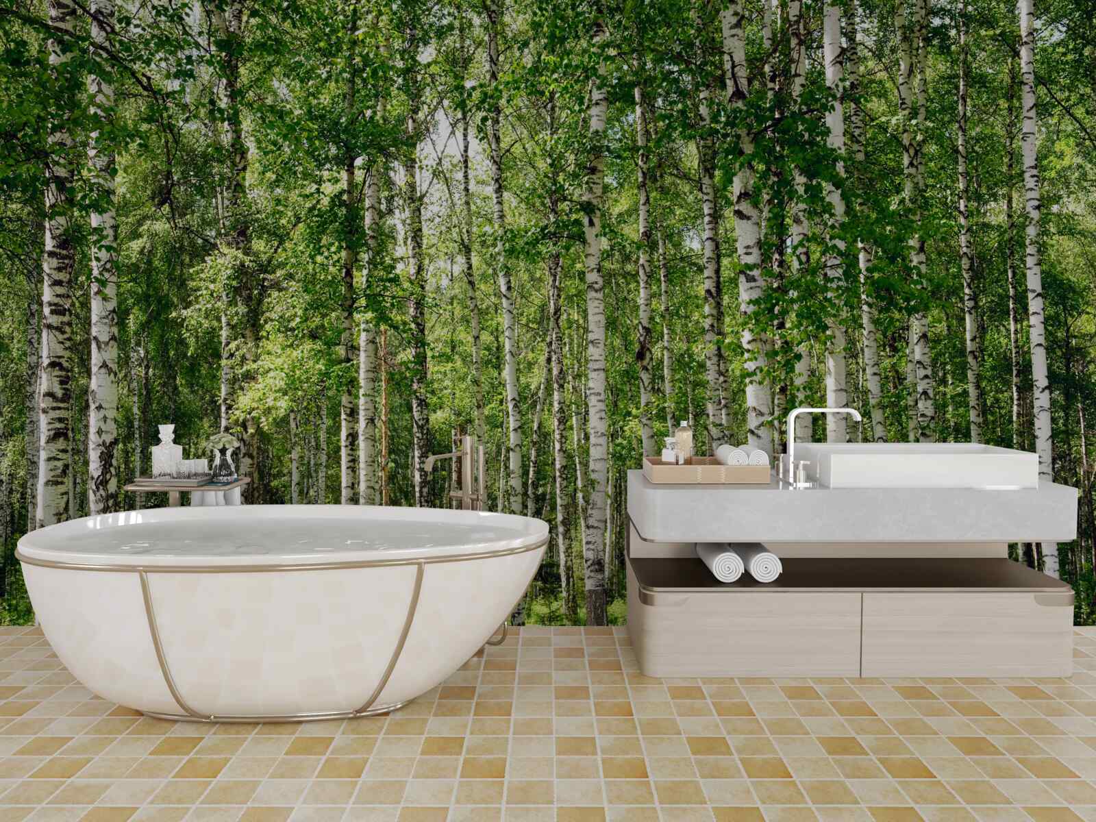 Fototapet livadă de mesteacăn subțire