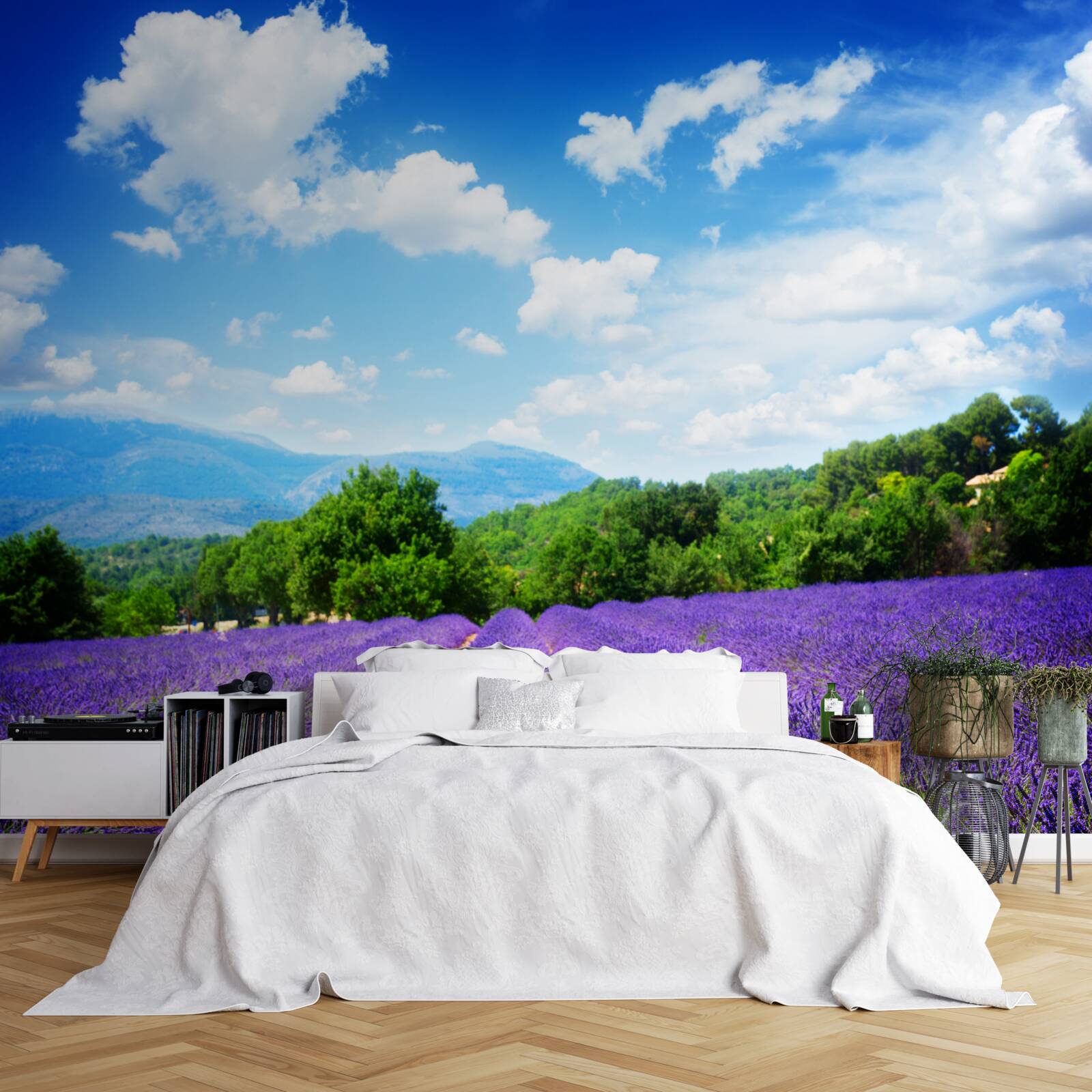 Fototapet întinderi nesfârșite de levănțică moale