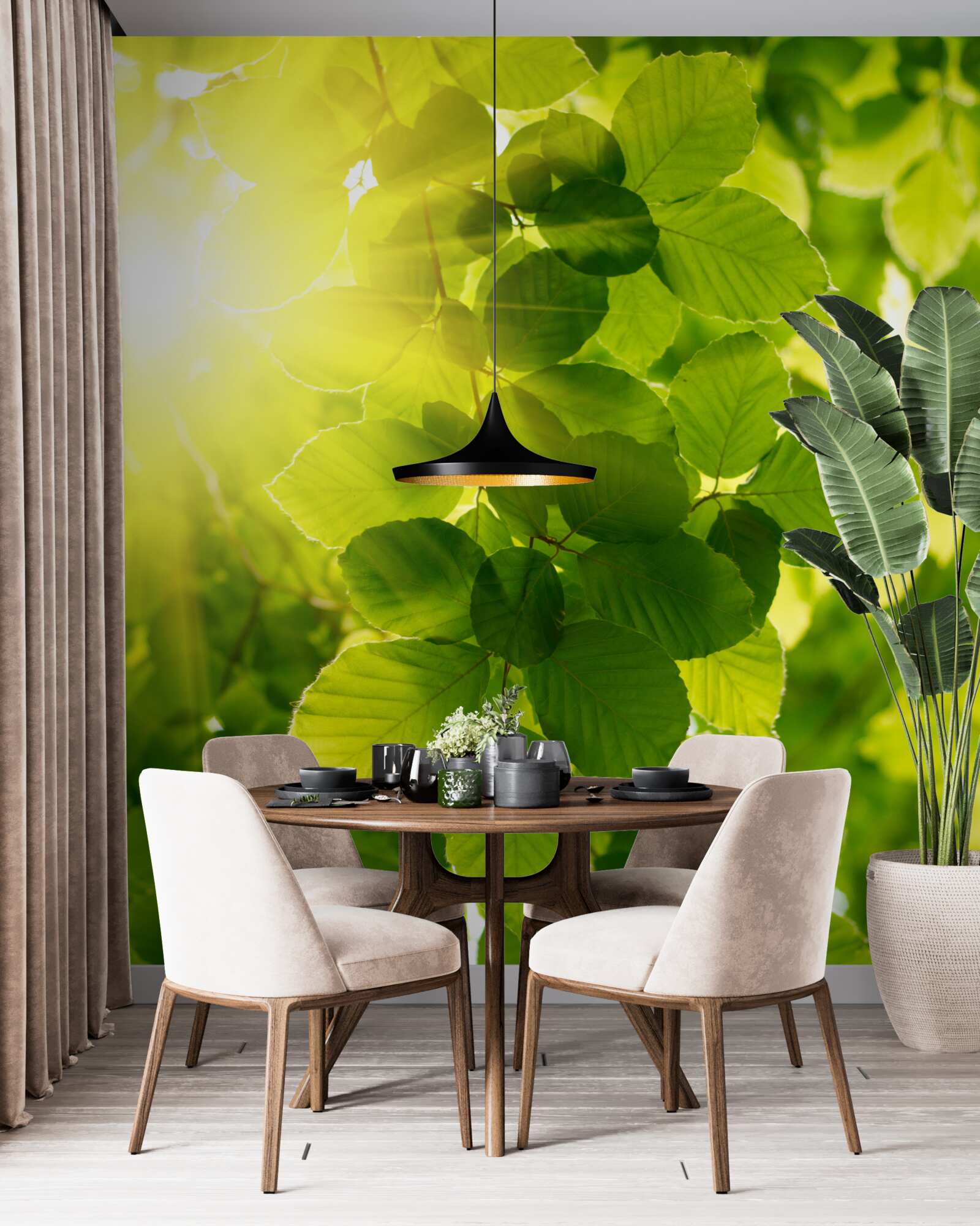 Fototapet lumina de dimineață a soarelui întâmpină frunzele verzi