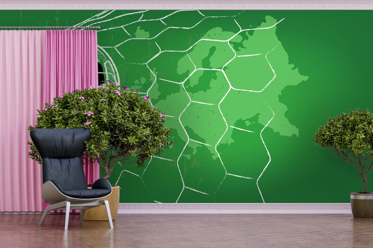 Fototapet contur de o minge de fotbal și o plasă în picioare pe un fundal verde