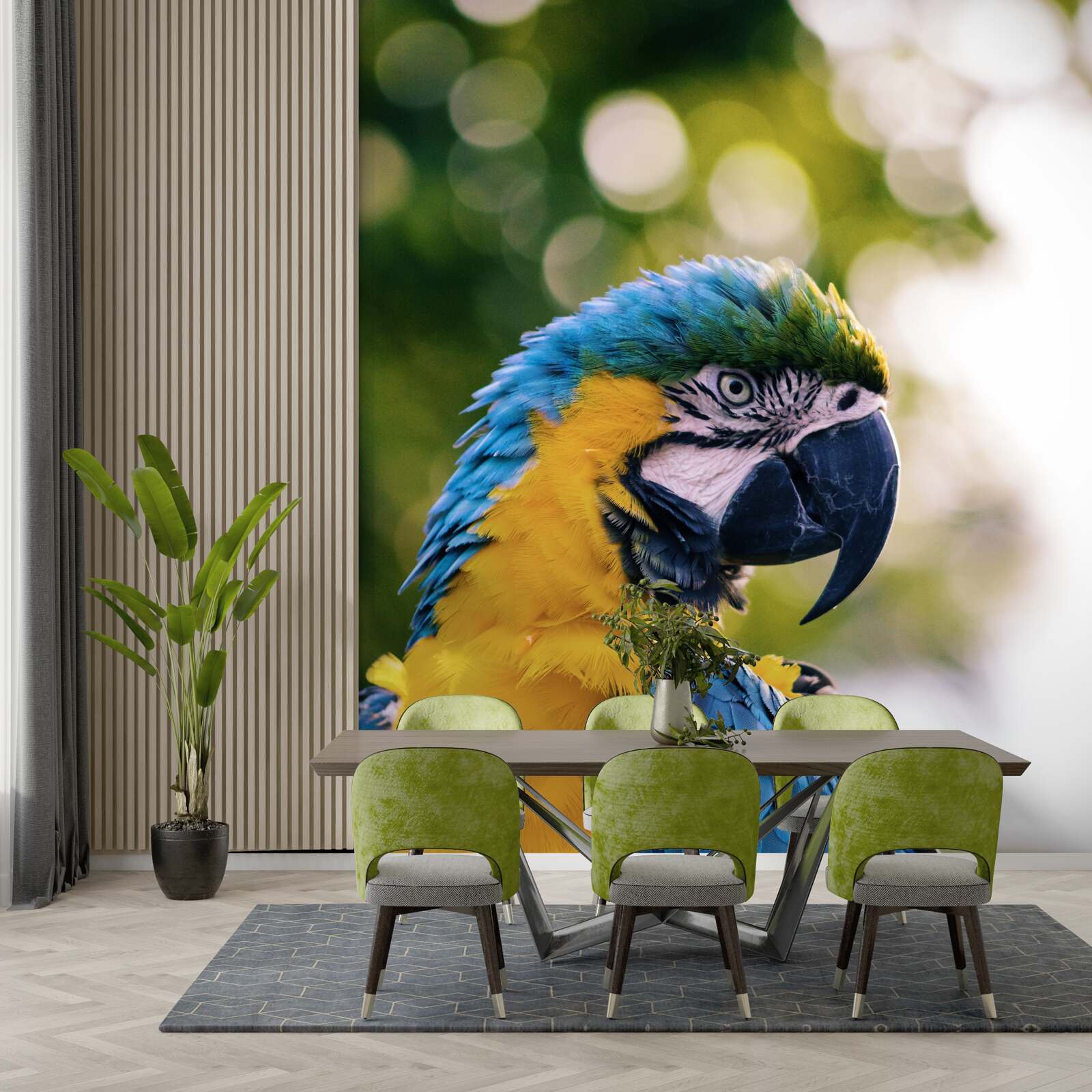 Fototapet imaginea unui papagal atractiv