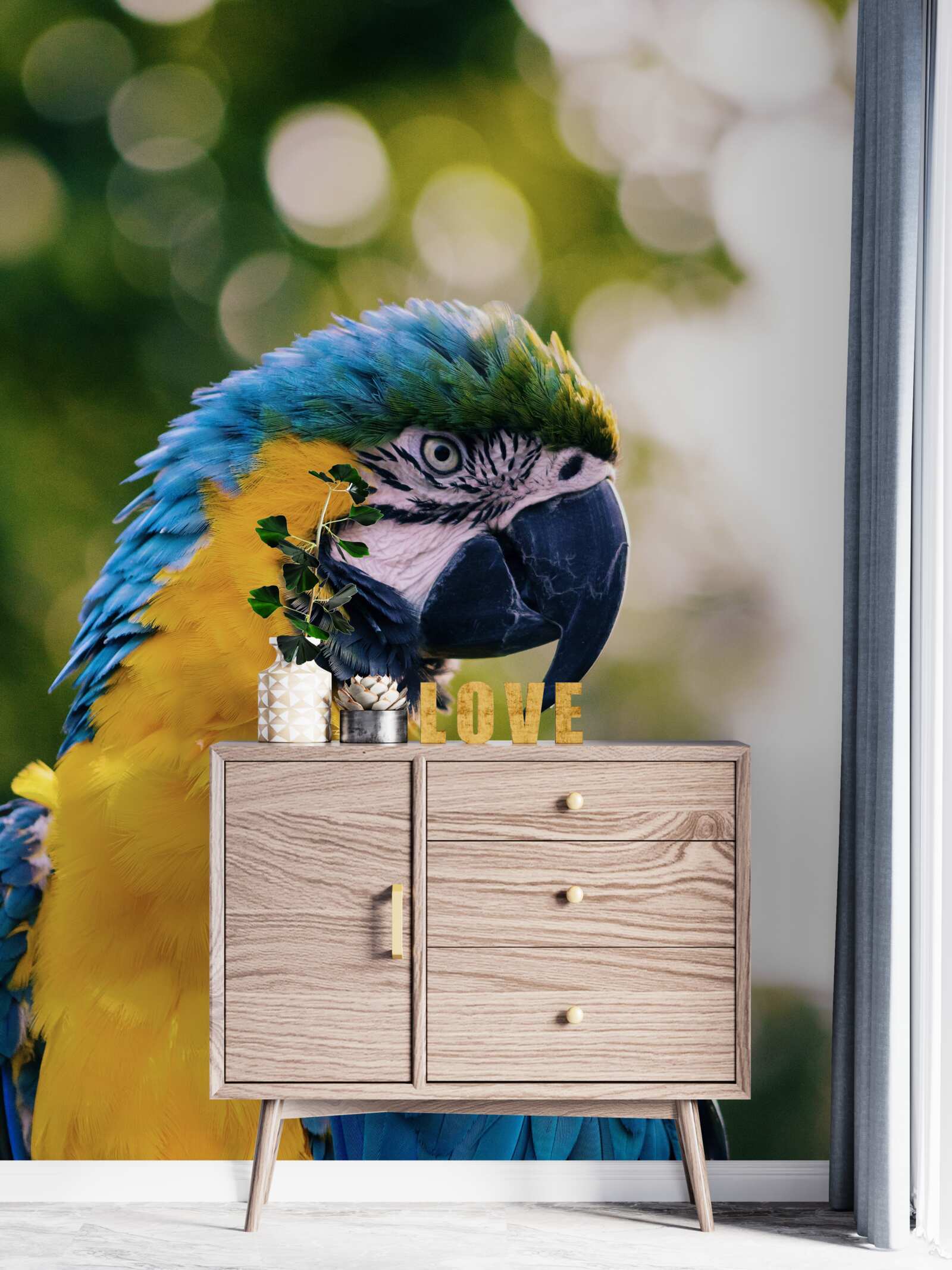 Fototapet imaginea unui papagal atractiv