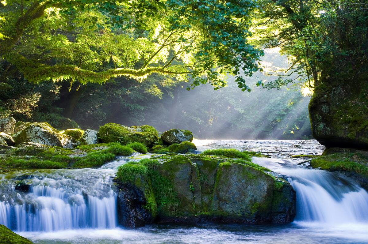 Fototapet razele soarelui ajung la cascada din pădure