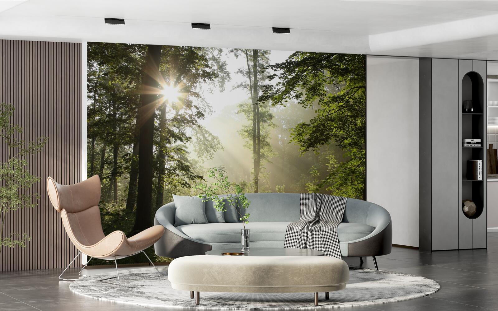 Fototapet razele soarelui alungă frigul nopții din copaci