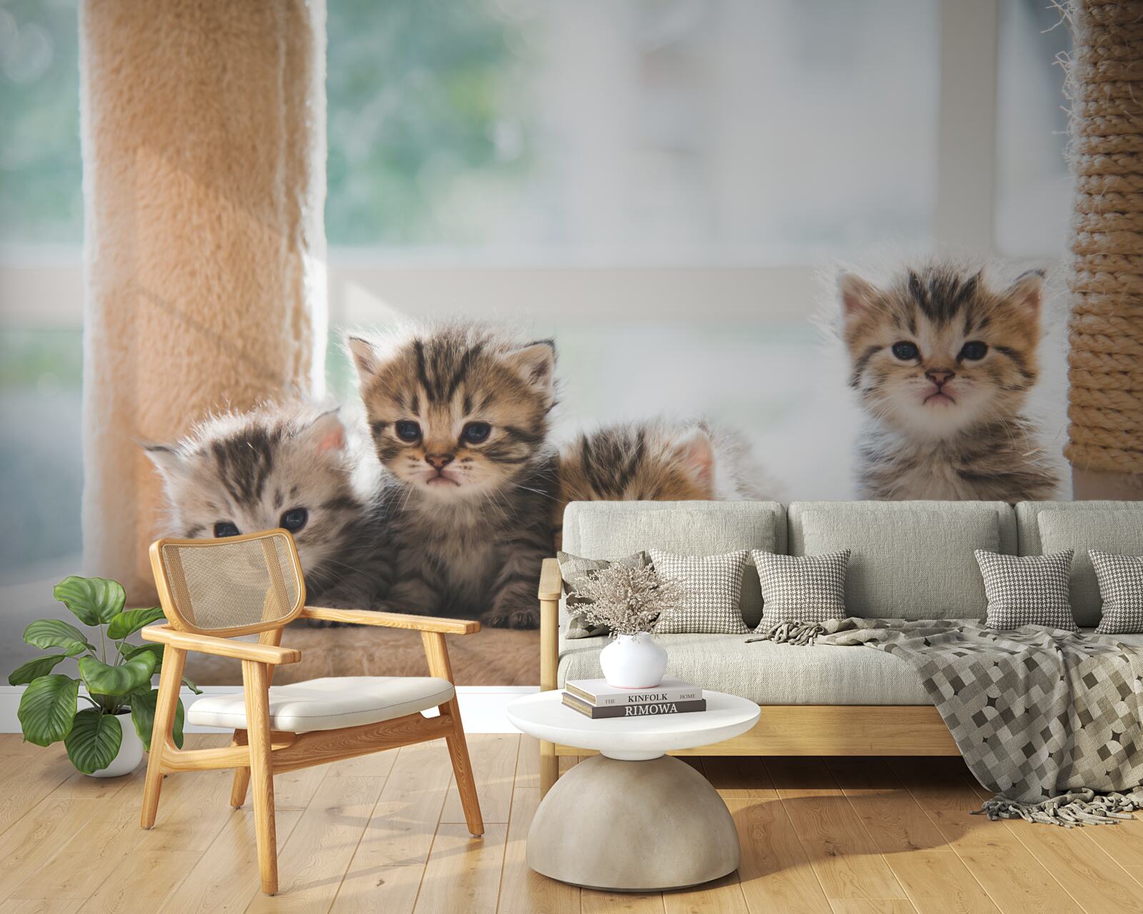 Fototapet puii de pisică își caută mama