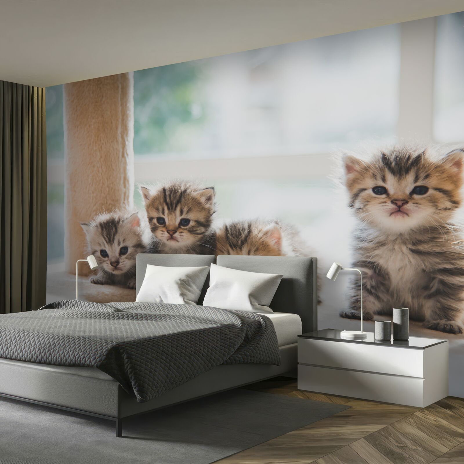 Fototapet puii de pisică își caută mama