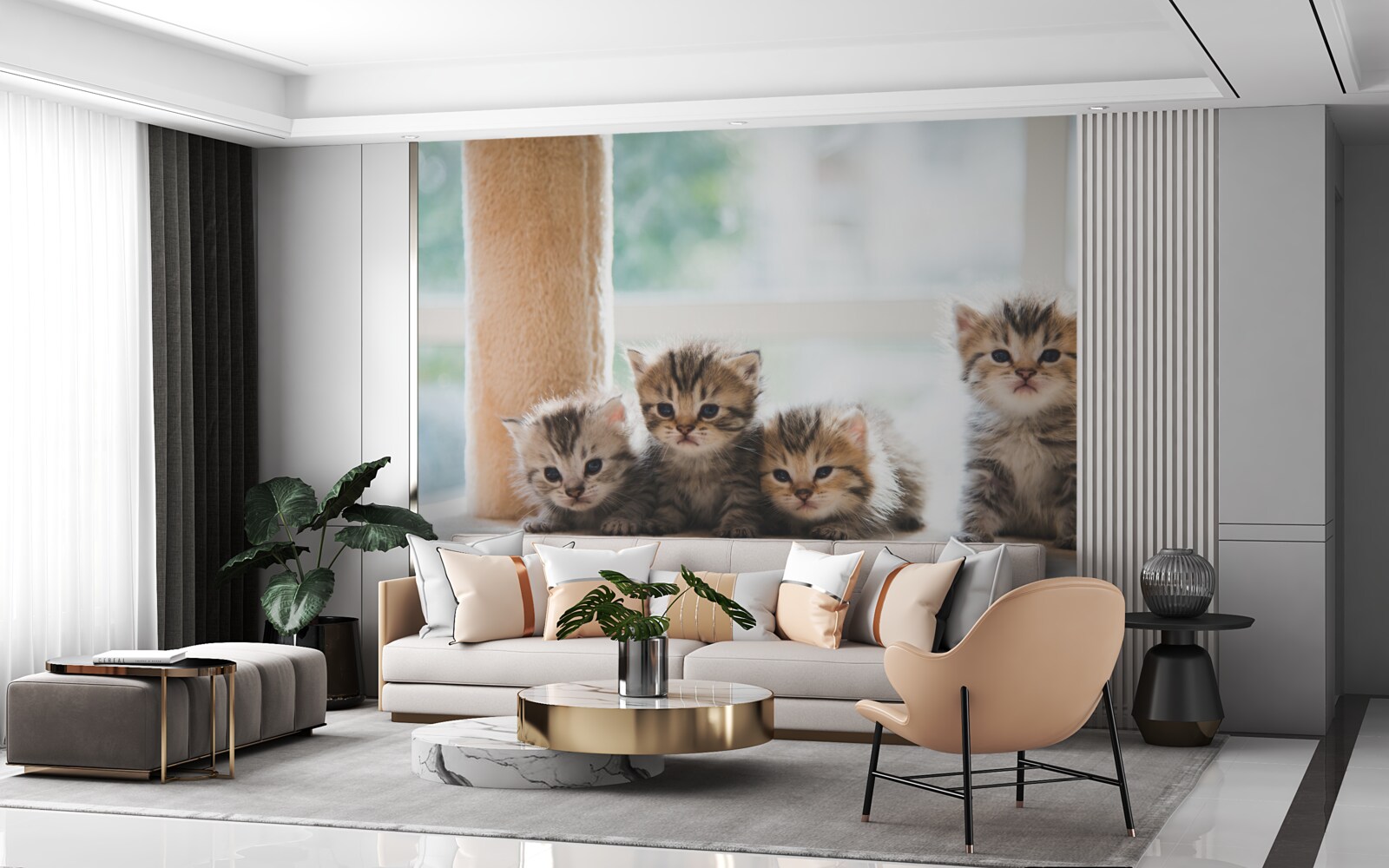 Fototapet puii de pisică își caută mama