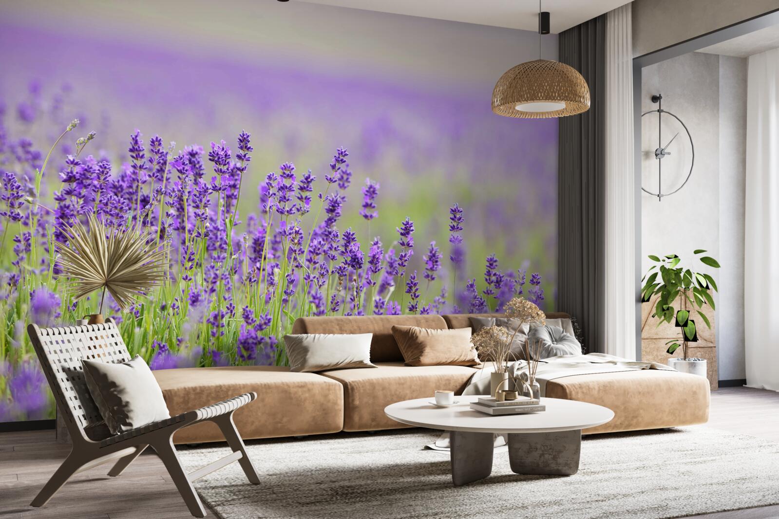 Fototapet câmpuri de lavandă