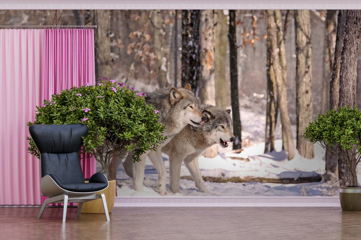 Fototapet un grup de lupi se plimbă prin desișul unei păduri de iarnă