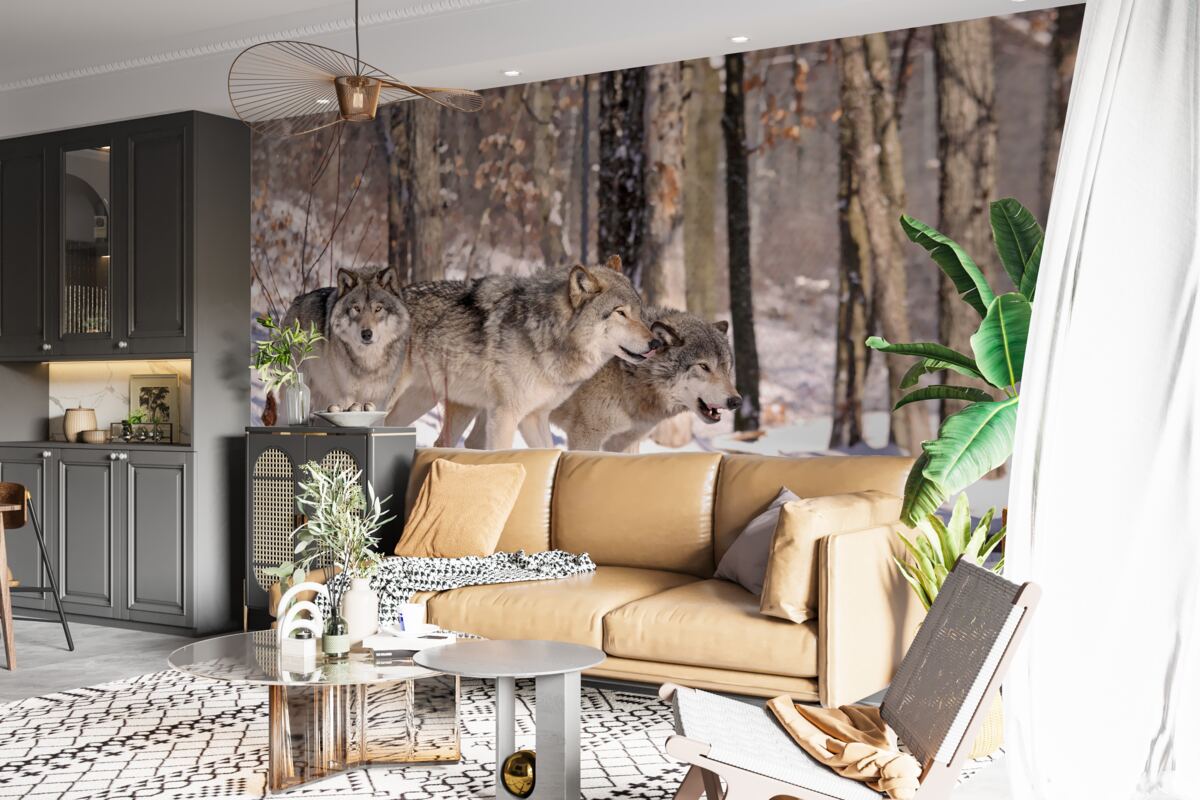 Fototapet un grup de lupi se plimbă prin desișul unei păduri de iarnă