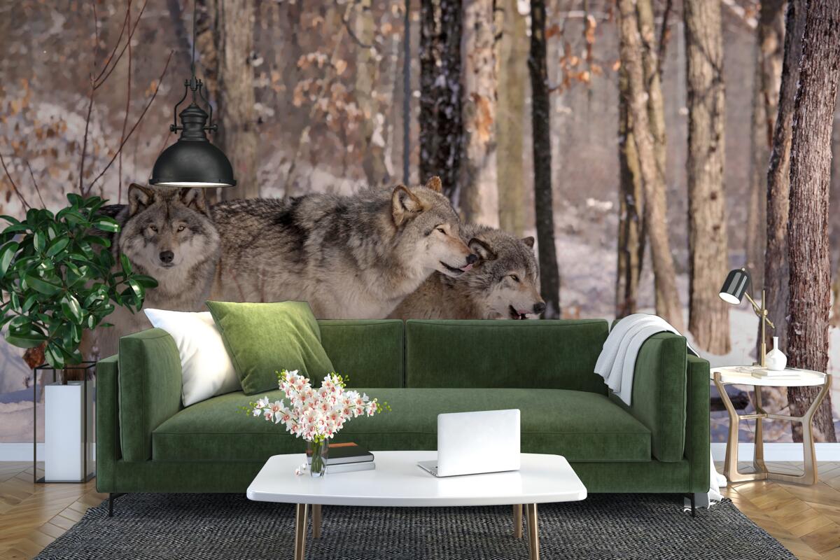 Fototapet un grup de lupi se plimbă prin desișul unei păduri de iarnă