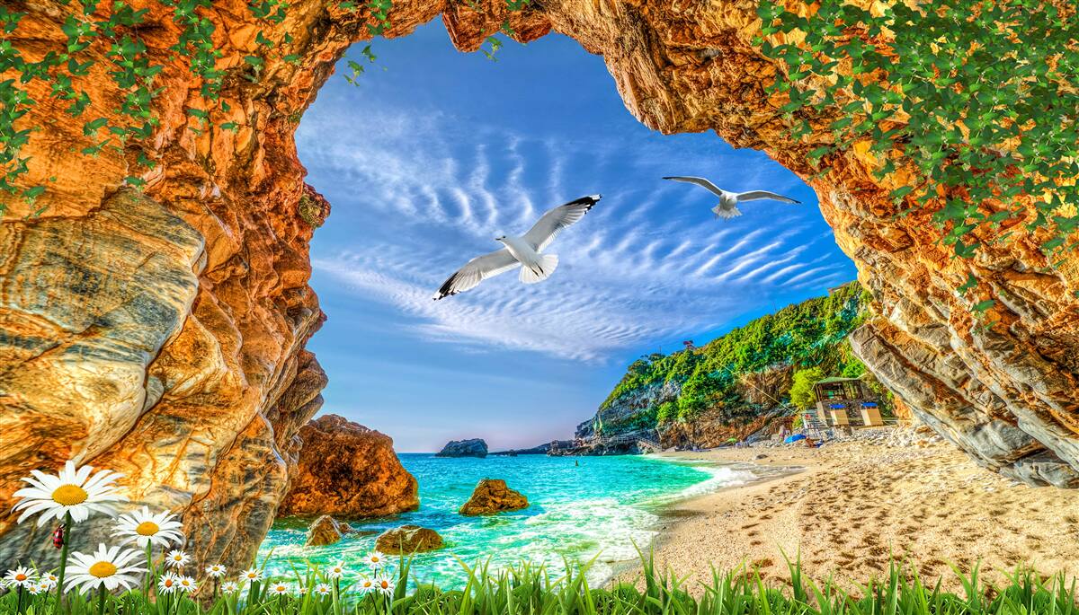 Fototapet O privire la ocean și la zborul șacalilor