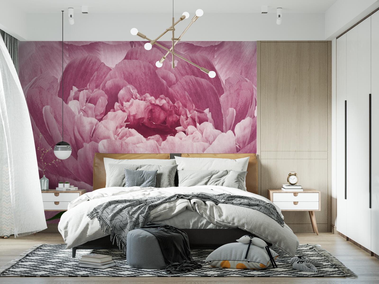 Fototapet floare abundentă de aster roz