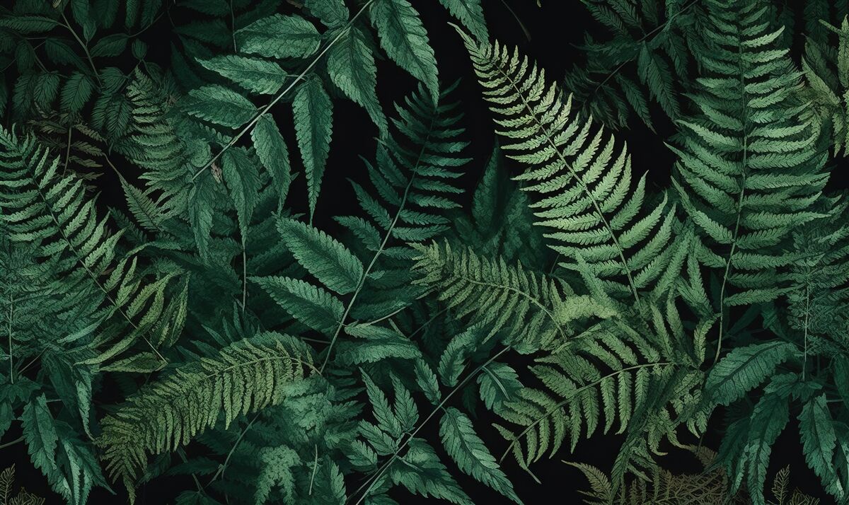 Fototapet noaptea petalele de ferigă se leagănă ușor