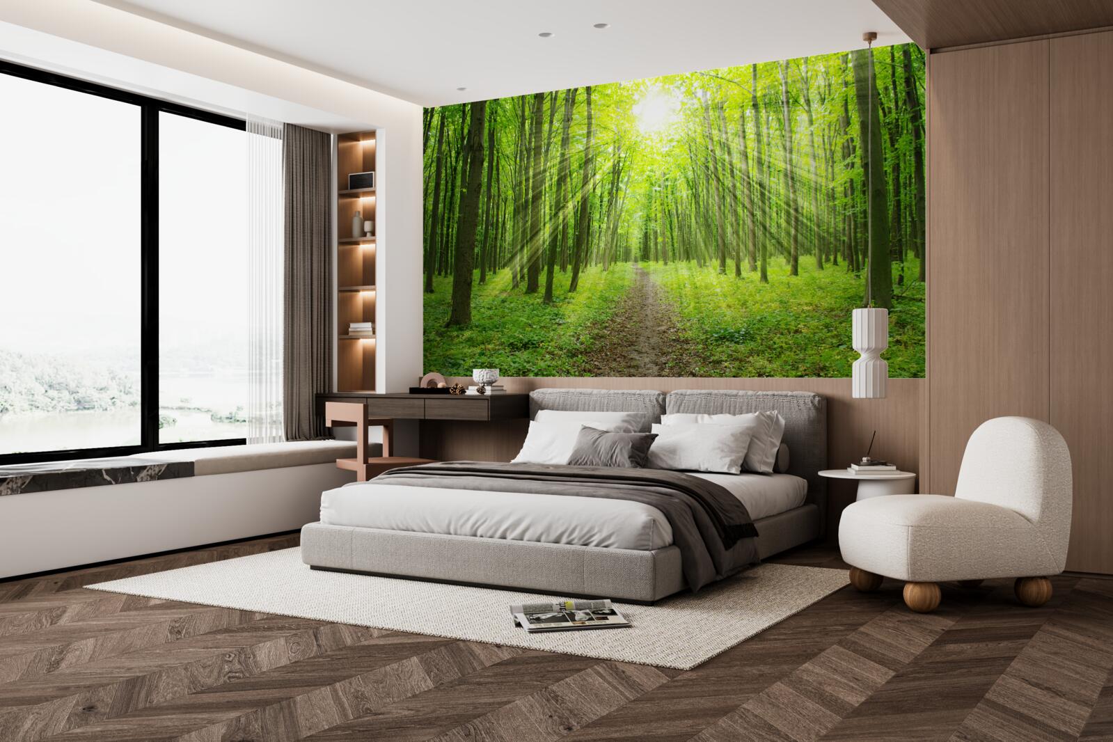 Fototapet Razele soarelui din pădurea verde și luxuriantă luminează totul în jur