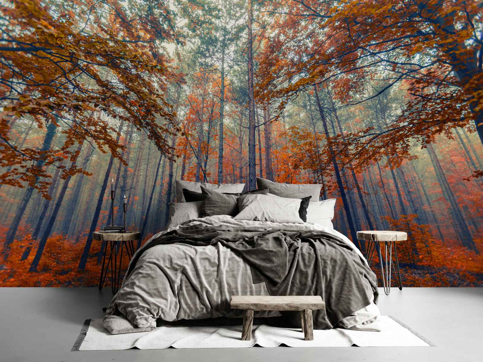 Fototapet frunze de pădure de toamnă care au căzut