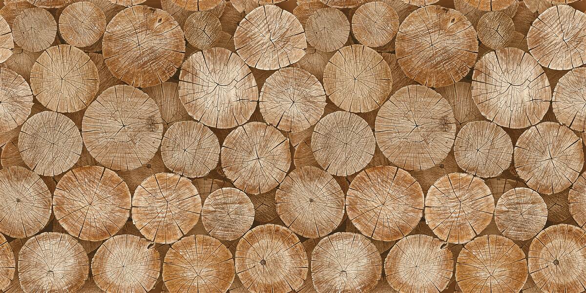 Fototapet grămadă de lemne de foc recoltate