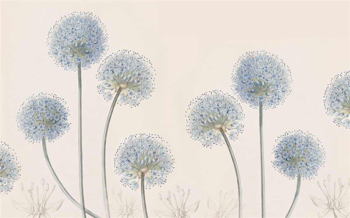 Fototapet vârfuri de agave grațioase