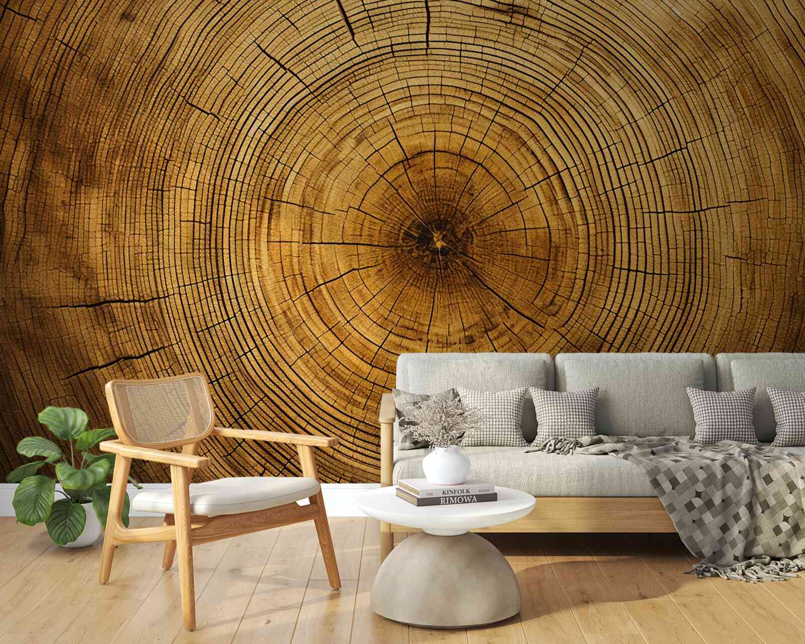 Fototapet fragmente dintr-un pilon de copac bogat în straturi vechi de secole