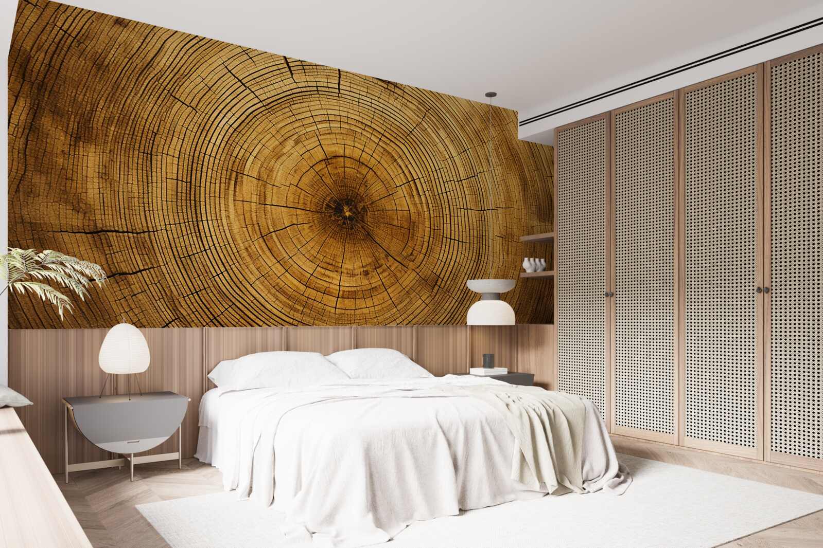 Fototapet fragmente dintr-un pilon de copac bogat în straturi vechi de secole