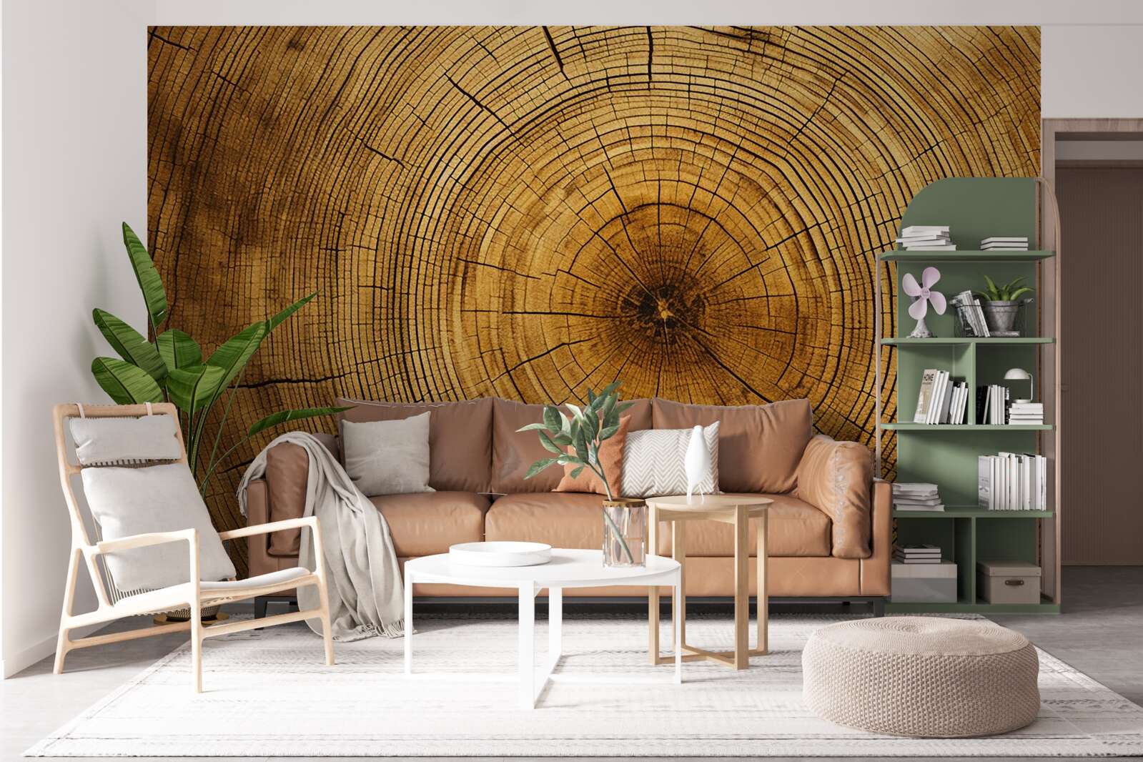 Fototapet fragmente dintr-un pilon de copac bogat în straturi vechi de secole