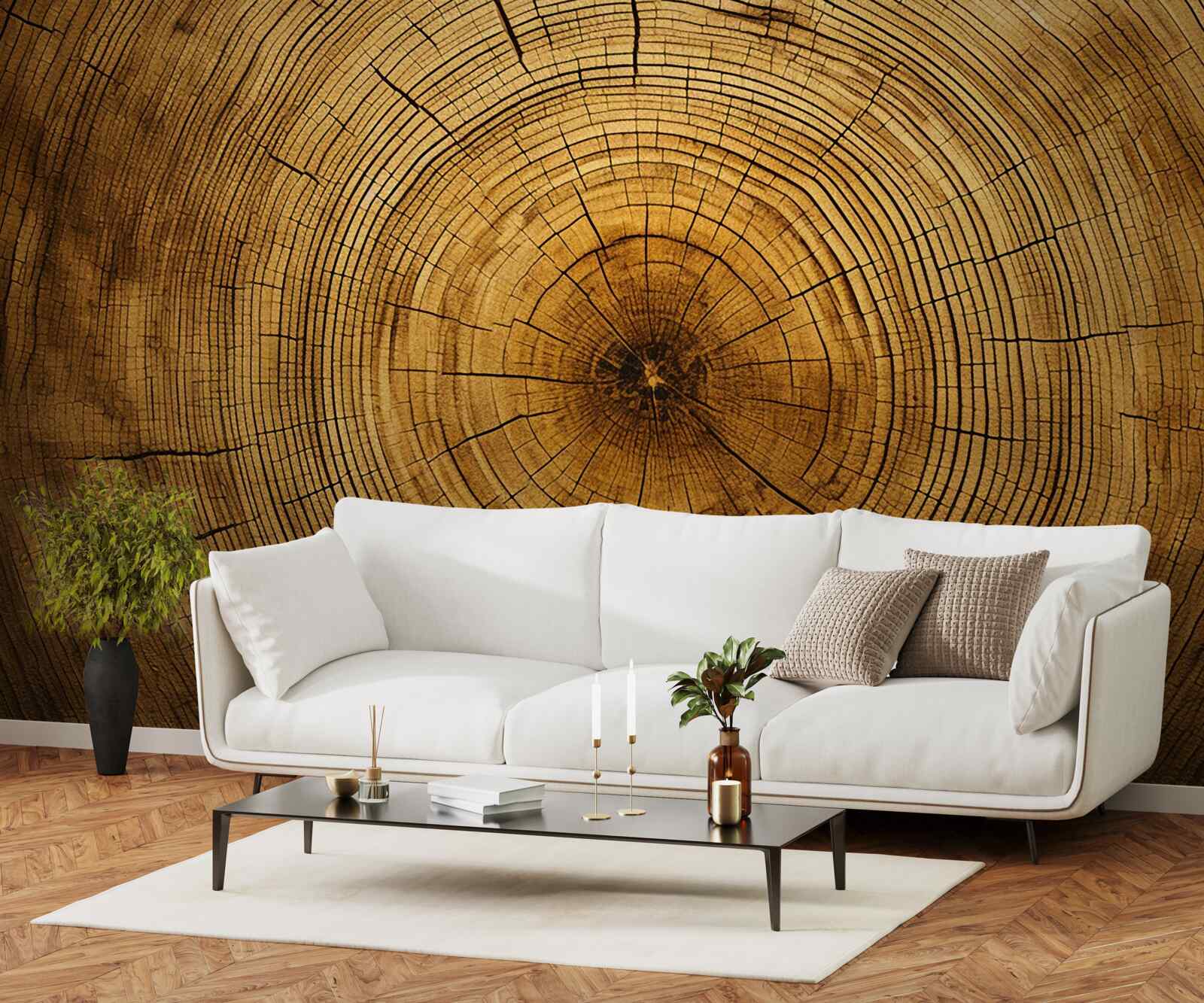 Fototapet fragmente dintr-un pilon de copac bogat în straturi vechi de secole