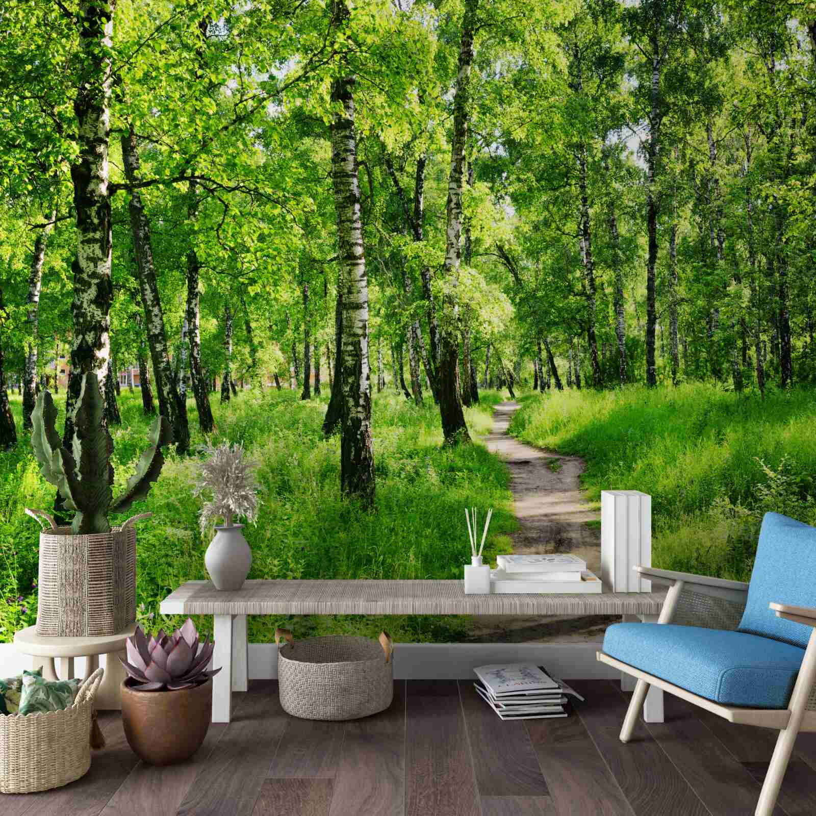 Fototapet Cărare printr-o livadă de mesteceni