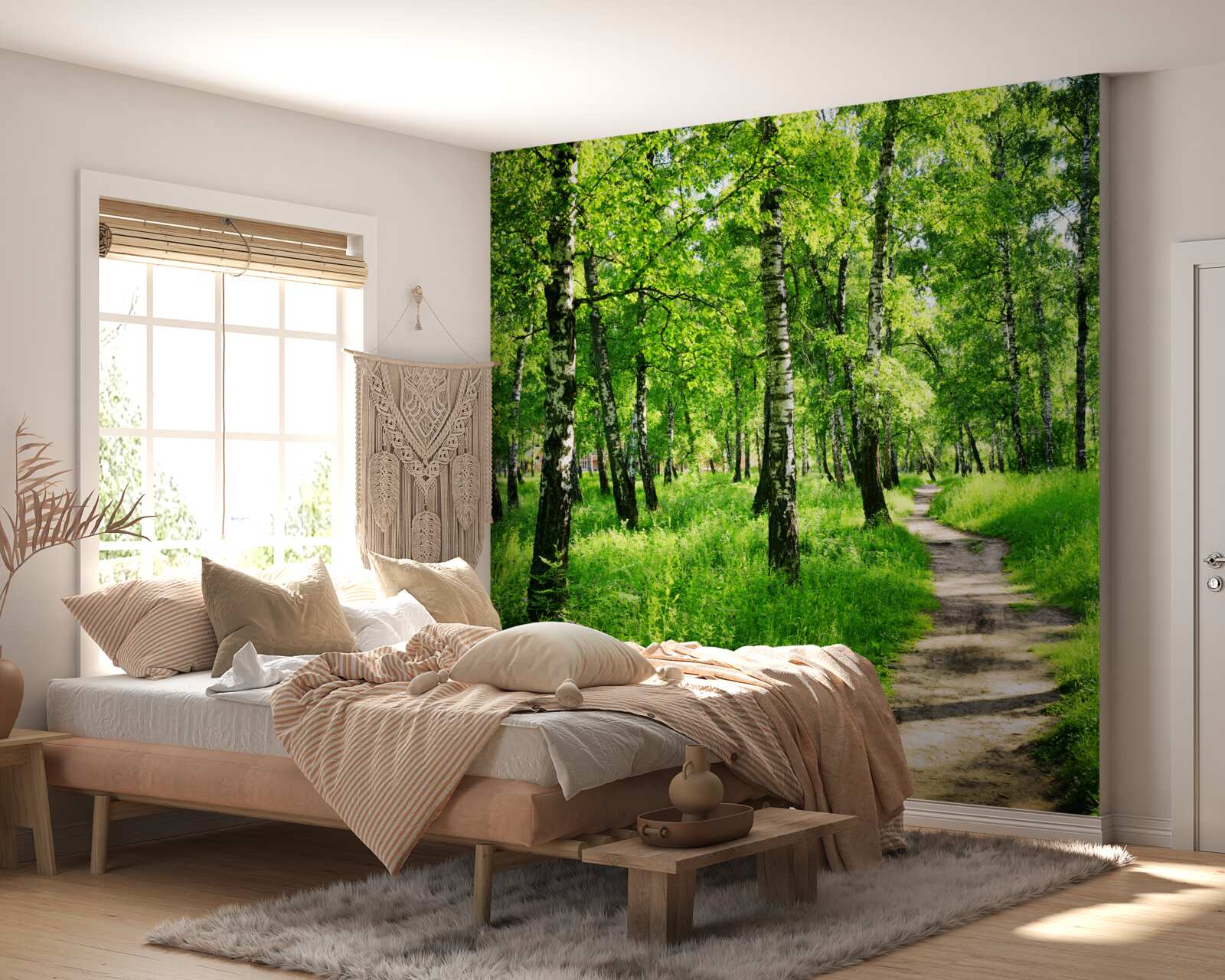 Fototapet Cărare printr-o livadă de mesteceni