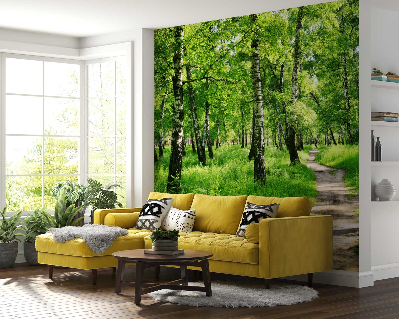 Fototapet Cărare printr-o livadă de mesteceni